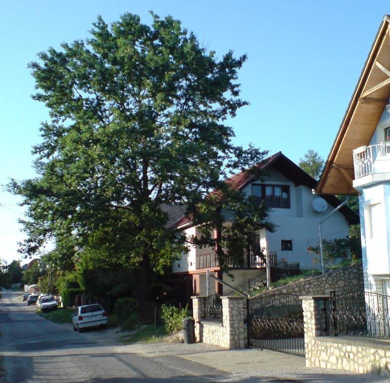 Budai Garden House Heviz Quarto foto