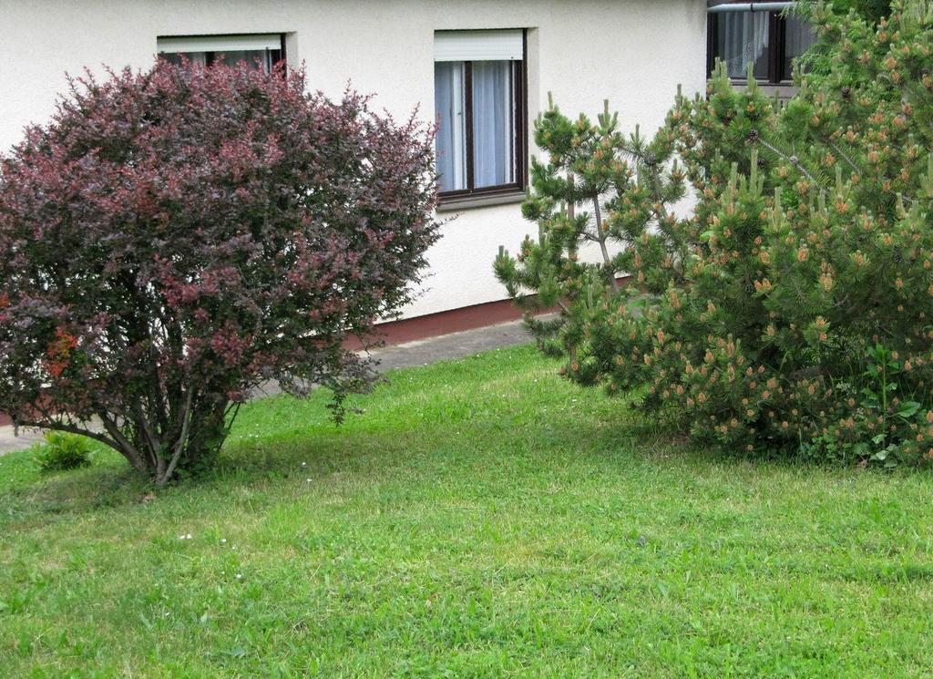 Budai Garden House Heviz Quarto foto